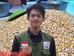 SAMI: Petani Jagung Sulit Tembus Gudang Bulog, Standar Ketat Bikin Harga HPP Jadi Ilusi