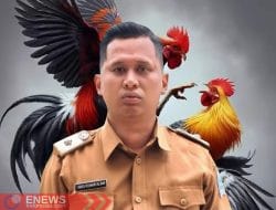 Kades Sadar Kesal, Nama Baik Desanya Tercoreng Gegara Sabung Ayam