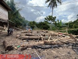 Kades Sadar Terjun Langsung Robohkan Arena Judi Sabung Ayam di Wilayahnya