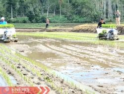 Terkuak! Kasus Bantuan Alsintan yang Diperjualbelikan Bukan Hanya di Bone