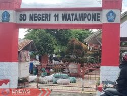 Dugaan Pungli SDN 11 Watampone Dalam Investigasi BKPSDM