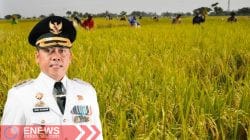 Andi Rosman: Sosok yang Dirindukan Petani Wajo