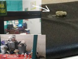 Ruang Anak RSUD Sengkang: Lebih Cocok Jadi Kandang?