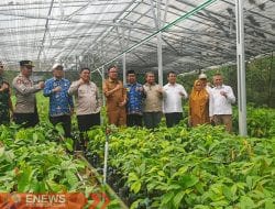 Bone Dapat 1.300 Ha Pengembangan Kakao