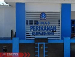 Dinas Perikanan Bone “Menghilang”, Tambak Cenrana di Ambang Krisis