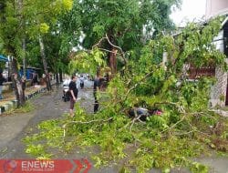 Angin Kencang Hantam Sinjai, Dua Motor Tertimpa Pohon dan Gedung Pemkab Rusak