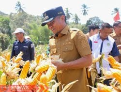 Pengendalian Inflasi Bone Diapresiasi BI, Pasokan Pangan Terjaga Stabil