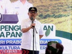 Presiden Umumkan Swasembada Pangan Nasional, Sulbar Catat Surplus Beras Hampir 70 Ribu Ton