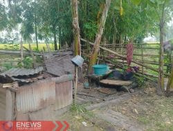 Samsul Mahmud Berikan Bantuan untuk Sanitasi dan Perbaiki Sumur Nenek Annisa