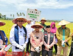 Baznas RI Panen Raya Lumbung Pangan di Polman, Dukung Ketahanan Pangan Nasional