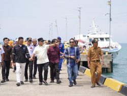 Bupati Wajo Lepas Pemudik Gratis dari Pelabuhan Bangsalae