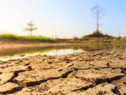 Antisipasi Elnino, TPHP Usul Penambahan Pompa untuk Petani di Sinjai