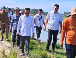Cegah Gagal Panen, Bupati Polman Pimpin Gerdal Hama Tikus