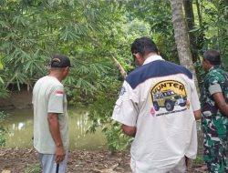 Viral Petani Seberangi Sungai Sedalam Leher, TNI Siap Bangun Jembatan di Sibulue Bone