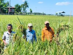 Bupati Polman Janji Perkuat Dukungan untuk Petani