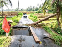 Hujan Deras di Sinjai, Jembatan Amblas dan Pohon Tumbang Tutup Jalan
