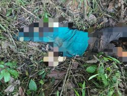 Pelajar Asal Luwu Ditemukan Tewas di Kebun Warga di Wajo