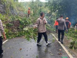 BPBD Catat 14 Titik Bencana di Sinjai Akibat Hujan Deras