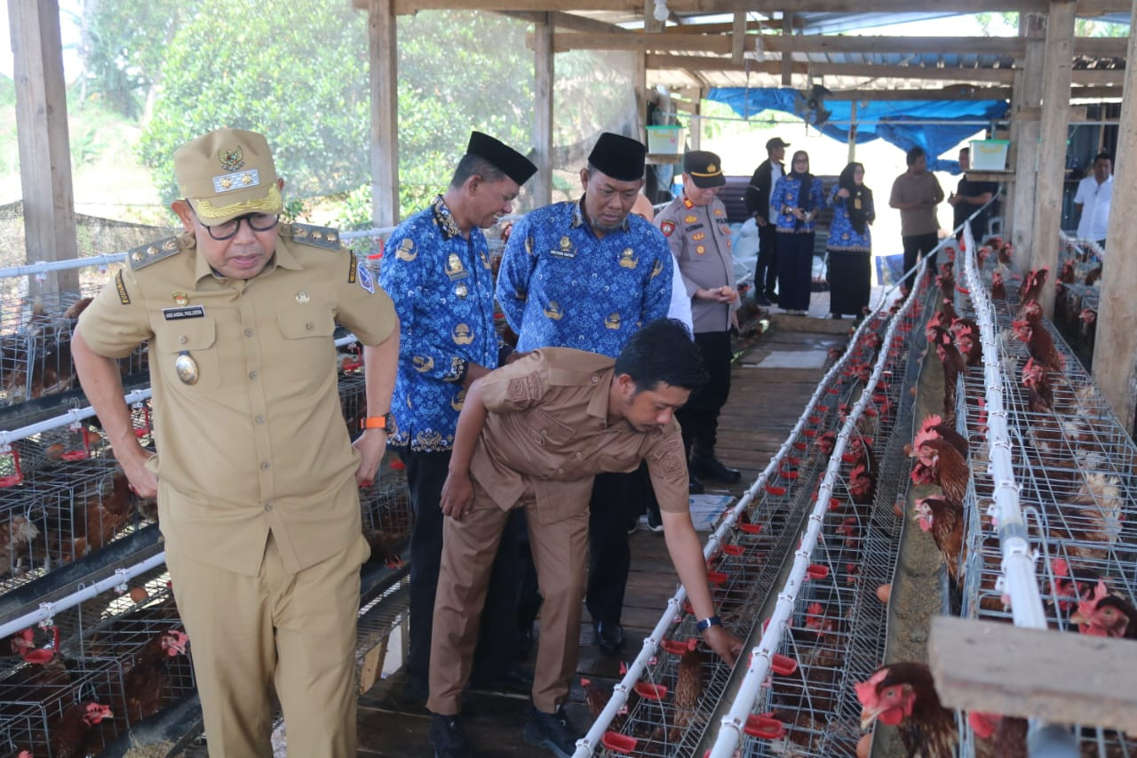 Ketgam: Wakil Bupati Bone Andi Akmal Pasluddin meninjau peternakan ayam petelur BUMDes Tunreng Tellue didampingi Kepala Desa Tunreng Tellue, Camat Sibulue, dan Kadis Ketahanan Pangan Bone Andi Zainal Wahyudi, Senin (18/5/2026).