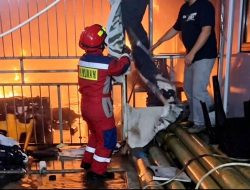 Percetakan Trias Muda di Bone Terbakar, Kerugian Capai Rp2 Miliar
