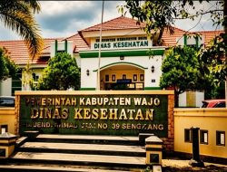 Disorot Warga: Kematian Pascapersalinan di Sengkang