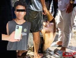 Diduga Kerap Mencuri, AW Nyaris Tewas Dihakimi Warga di Bone