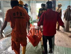 Jasad Lansia di Wajo Ditemukan Membusuk di Dalam Rumah