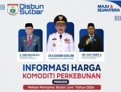 Disbun Sulbar Rilis Harga Komoditas Perkebunan Juni 2026