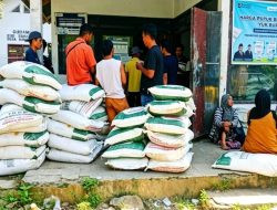 Pupuk Subsidi Tersalurkan ke 7 Desa di Tammerodo Sendana Majene