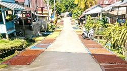Ketgam: Hamparan cengkeh yang dijemur warga di sisi badan jalan Desa Seppong, Kecamatan Tammerodo Sendana, Kabupaten Majene, mempersempit akses lalu lintas dan dikeluhkan pengguna jalan karena dinilai berpotensi membahayakan keselamatan pengendara, Jumat (5/6/2026). (Dok. M. Kamil)