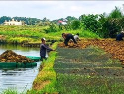 Penambak Cenrana Bone Resah, Tak Berani Tinggalkan Empang karena Maraknya Sabu