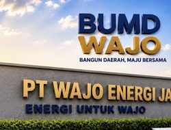 Enam Bulan Usai Dilantik, Publik Pertanyakan Kinerja Direksi PT Wajo Energi Jaya