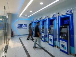 BRI Setor Rp8,1 Triliun Pajak ke Negara pada Kuartal I 2026