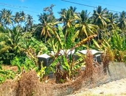 BUMDes Tallambalao Terbengkalai, Warga Soroti Pengelolaan Dana Ketahanan Pangan