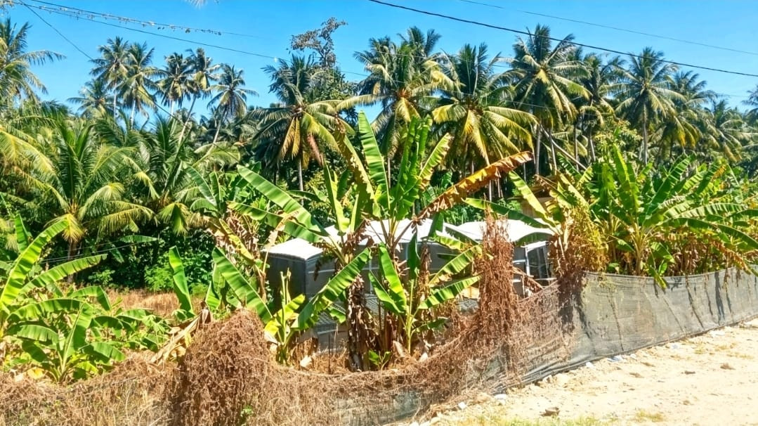 Ketgam: Potret Bangunan Grand House milik Badan Usaha Milik Desa (BUMDes) Tallambalao, Kecamatan Tammerodo Sendana, Kabupaten Majene, yang dibangun menggunakan anggaran Dana Desa, kini terbengkalai. (Dok. Kamil)
