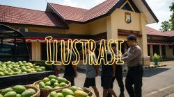 Ketgam: Ilustrasi penanganan kasus dugaan pencurian buah mangga yang masih dalam proses penyidikan di Polres Bantaeng. (ENews/AI)