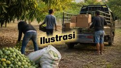 Kasus Mangga di Bantaeng, Pelapor Pertanyakan Dasar Pembebasan Terlapor