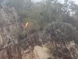 Diduga Dipicu Pembakaran Lahan, Kebakaran Landa Bukit Arewatang di Majene