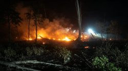 Ketgam: Kebakaran melanda kawasan pesisir Desa Tammero'do Utara, Kecamatan Tammero'do Sendana, Majene, Jumat (7/8/2026) malam. Api diduga berasal dari puntung rokok yang dibuang sembarangan dan membakar area sekitar 50 × 50 meter. (Dok. Kamil)