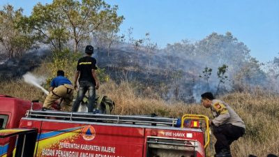 Kebakaran Lahan di Bababulo Utara Majene Meluas