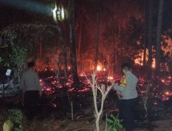 Kebakaran Lereng Gunung Tamme Ambe Majene, Api Hanguskan 1 Hektare Lahan