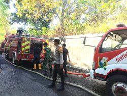 Kebakaran Lahan di Salabose Majene, Polisi-TNI-Damkar Bergerak