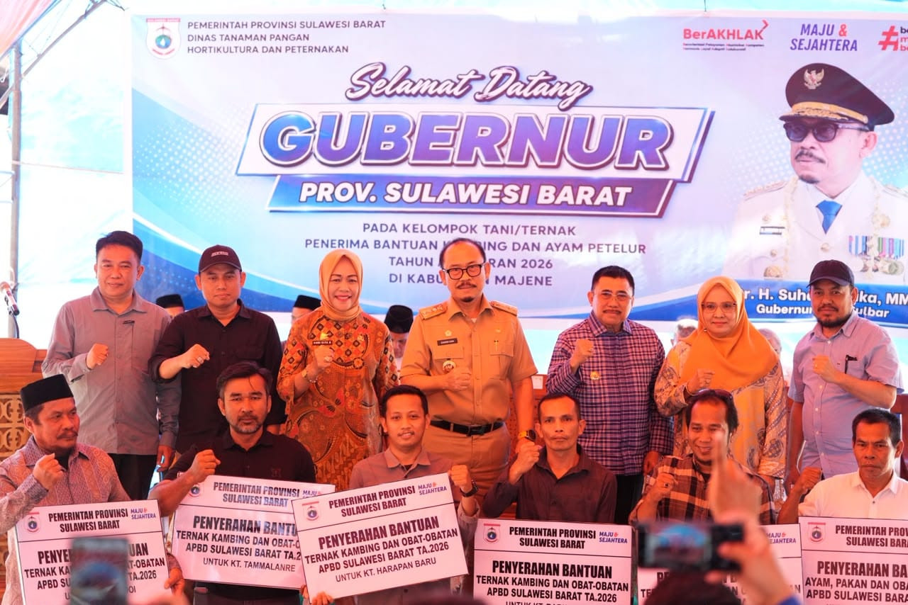Gubernur Sulbar, Suhardi Duka (tengah) saat menyalurkan bantuan ternak di Kabupaten Majene. (Dok. HW)
