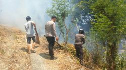 Kebakaran Lahan Hanguskan Sekitar 1 Hektare di Pamboang