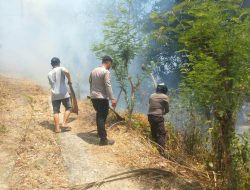 Kebakaran Lahan Hanguskan Sekitar 1 Hektare di Pamboang