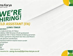 Prima Karya Buka Lowongan Field Assistant di Luwu Timur, Ini Syarat dan Cara Melamarnya