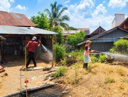 Ribuan Ayam Mati Mendadak di Sinjai, Hasil Laboratorium Positif Flu Burung