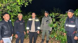 20 Hektare Lahan di Gunung Balangtieng Sinjai Terbakar