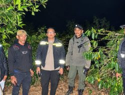 20 Hektare Lahan di Gunung Balangtieng Sinjai Terbakar
