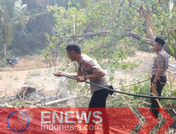 Bara Pembakaran Ranting Berujung Kebakaran Kebun di Sinjai
